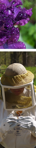 Upcoming Events Shift Sustainable Home Goods, Brunswick Maine